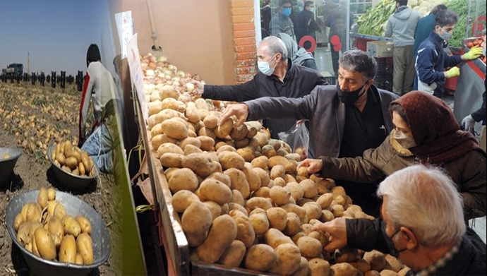 Installment potatoes in Iran