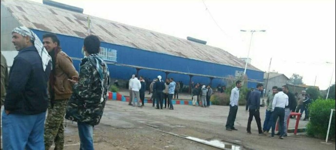 Workers of Haft-Tappeh Co. protest unpaid wages Workers of Haft-Tappeh Co. protest unpaid wages