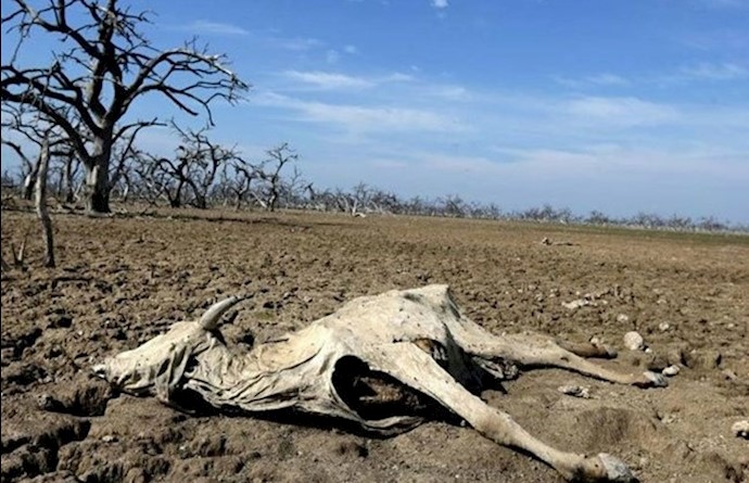 Water crisis spurring protests in drought-hit Iran Water crisis spurring protests in drought-hit Iran